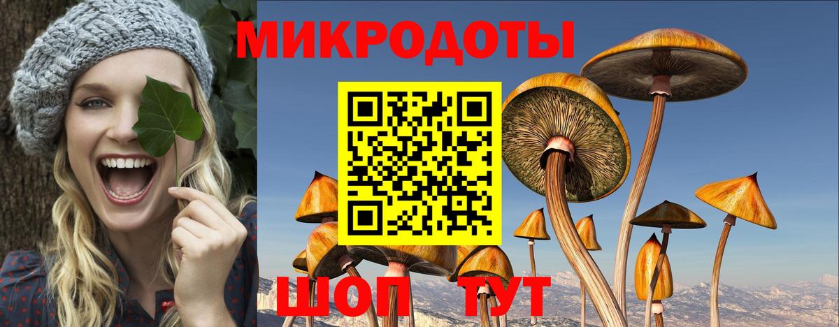 Магнитогорск  Псилоцибиновые грибы прущие грибы  Псилоцибиновые грибы GOLDEN TEACHER  Вход с VPN 