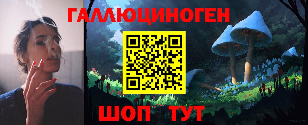 Галлюциногенные грибы Psilocybe Магнитогорск